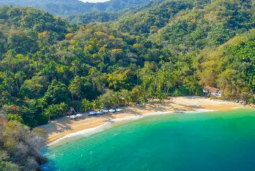 Las energías verdes impulsan la preservación del medio ambiente y enfrentar las crisis de las energías no renovables, como el gas y el petróleo