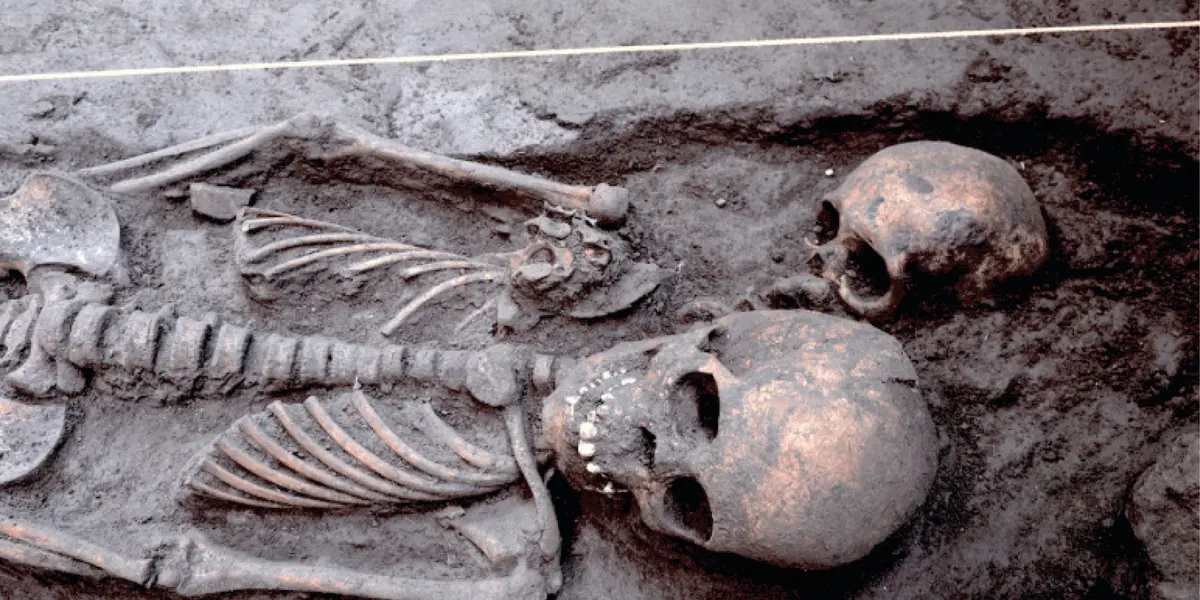 Los entierros se localizaron bajo el piso de la acera frontal del panteón, durante la supervisión de las labores que efectúa personal de la Secretaría de Obras y Servicios de la CDMX, para la introducción de cableado eléctrico.