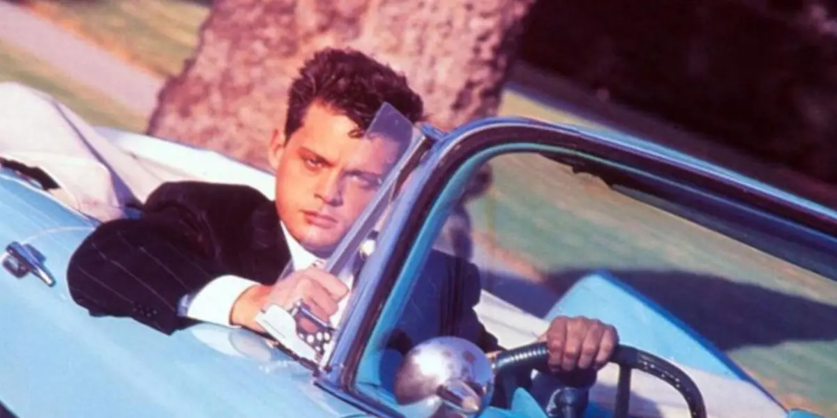 Luis Miguel inicio su carrera desde muy pequeño, se ha desenvuelto en la industrial musical, llegando a tener gustos muy pudientes.