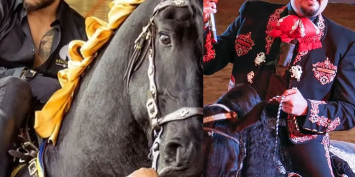 Maluma tiene una de las colecciones de caballos más envidiables en el mundo