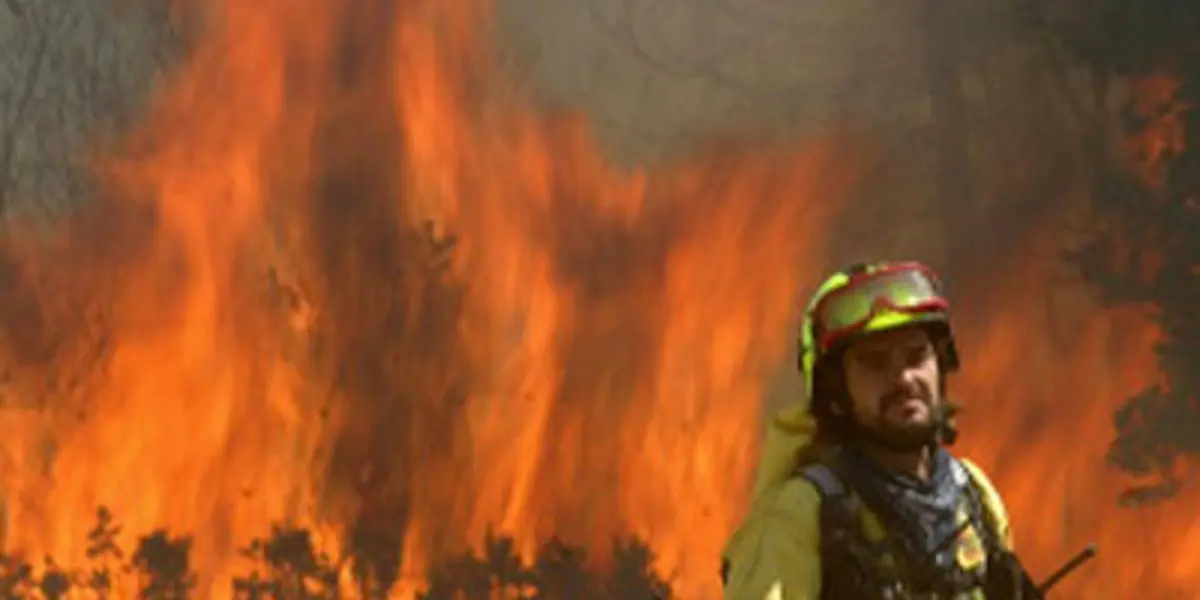 Más de 24 horas brigadistas forestales de Zapopan y de la Secretaría de Medio Ambiente y Desarrollo Territorial