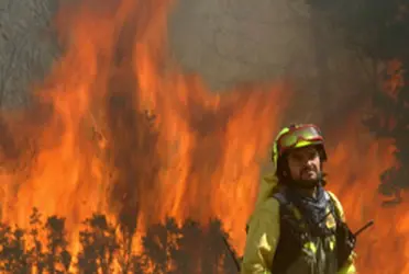 Más de 24 horas brigadistas forestales de Zapopan y de la Secretaría de Medio Ambiente y Desarrollo Territorial