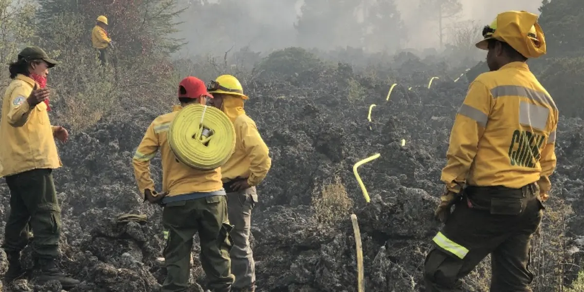 n rueda de prensa este lunes, la mandataria comentó que se espera que este año haya altas temperaturas por lo que las autoridades desplegarán alrededor de cuatro mil.