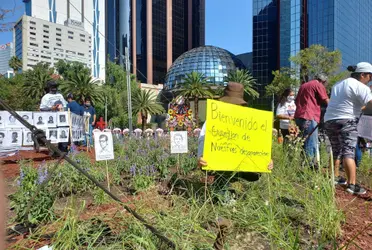 No es la primera vez que toman este lugar, y han exigido que está glorieta donde se encontraba la "histórica palma" lleve el nombre de "Glorieta de las y los desaparecidos".