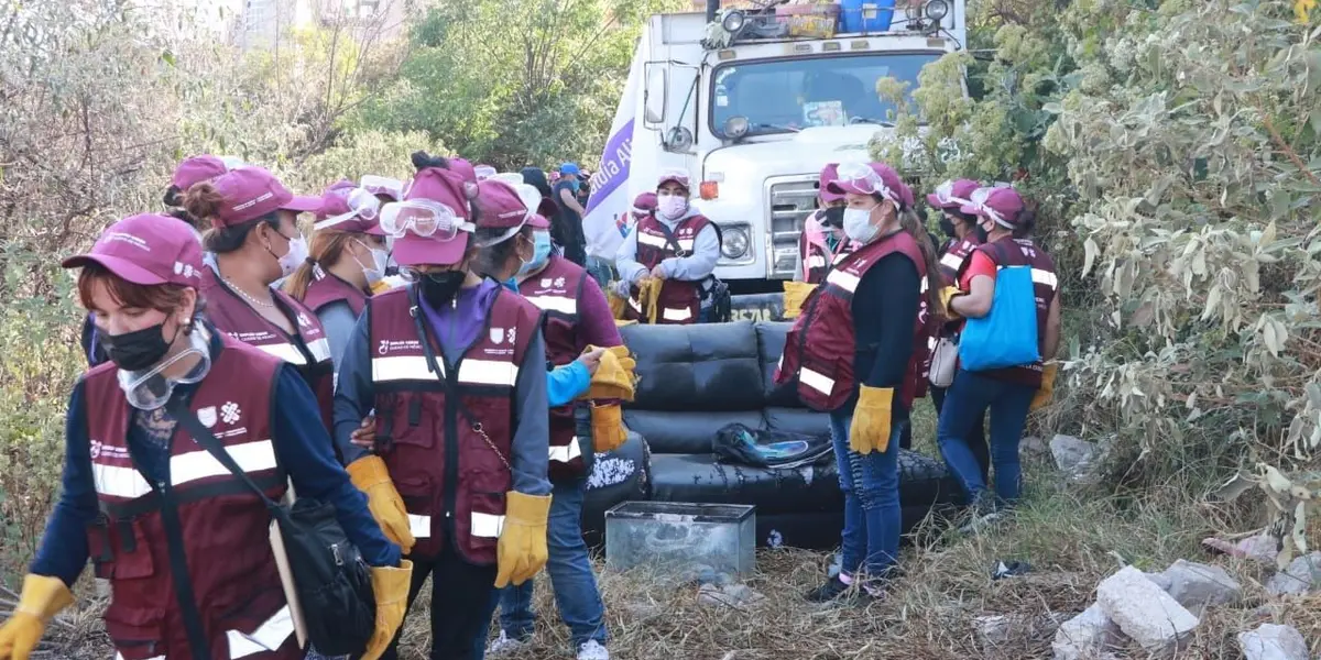 Para generar puestos laborales y evitar afectaciones al medio ambiente, esta semana concluyó la primera etapa del programa Empleo Verde.
