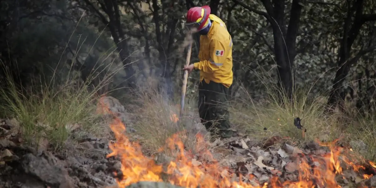 Para la prevención y combate de incendios forestales de este año, se destinarán 122 millones 353 mil 106 pesos, mil 860 combatientes, distribuidos en 168 brigadas de los tres niveles de gobierno, 200 vehículos y 8 helicópteros.