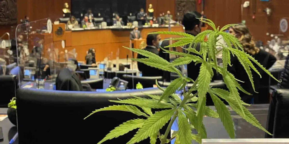 ¿Qué ha cambiado desde 2015 que fue el primer avance?