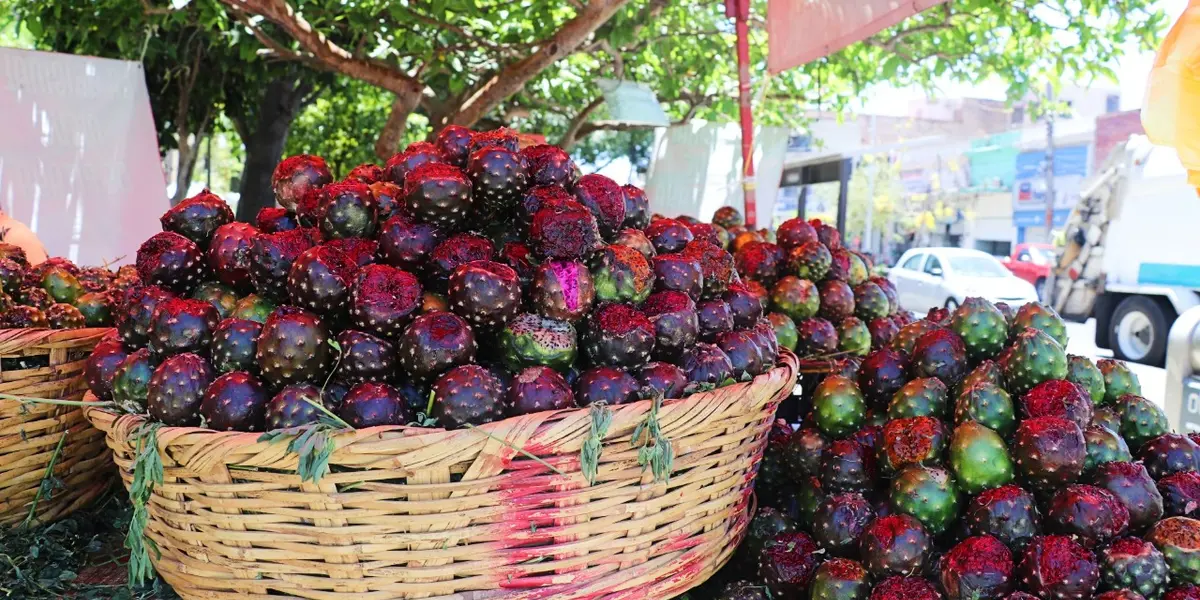 Regresa después de dos años de complicaciones por el tema de la pandemia y que incluso el ayuntamiento de Guadalajara las movió de sitio con el argumento de contar con espacios más grandes para evitar aglomeraciones