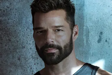 Ricky Martín tuvo participaciones como actor en algunas telenovelas musicales