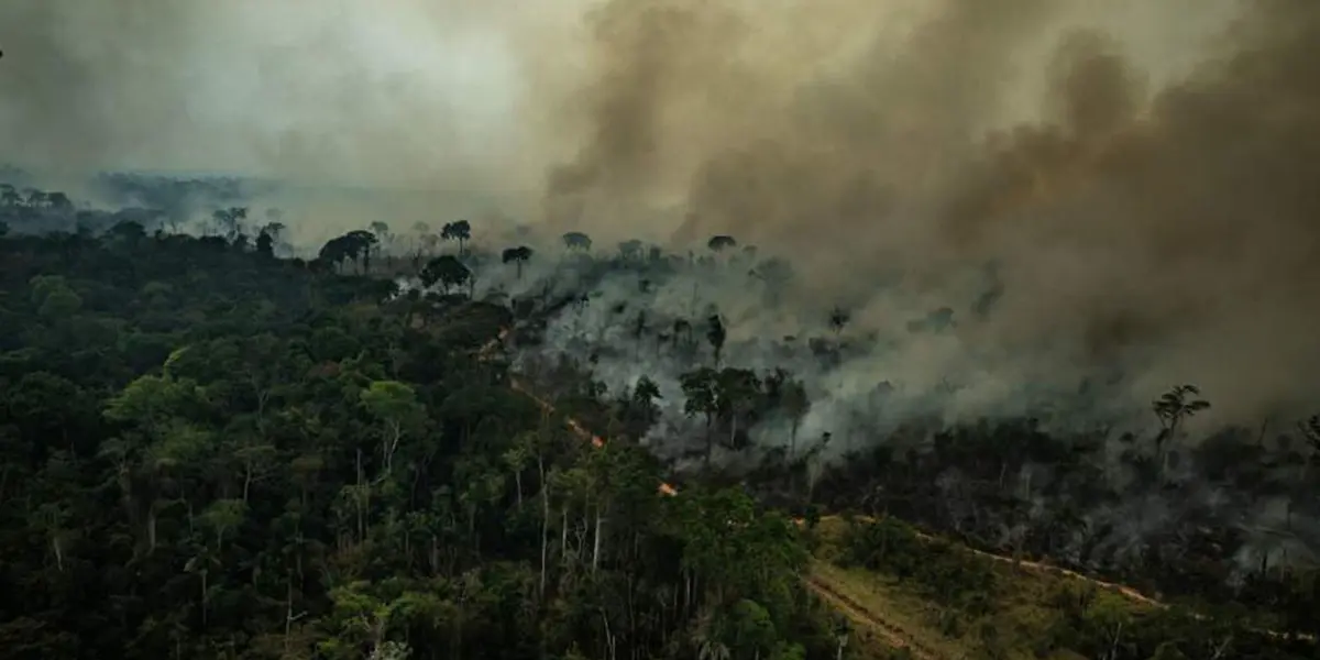 Se sancionará con penas de tres a diez años de cárcel y cometerá este delito quien provoque daño, destrucción de uno o más ecosistemas en un territorio determinado.