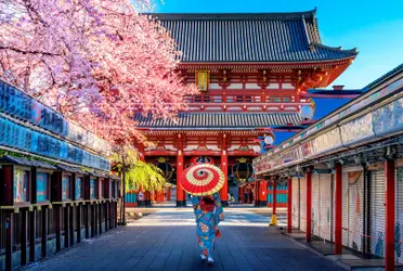 Si escuchaste que Japón cuenta con casas abandonadas que cualquiera puede adquirir, te contamos las complicaciones que existen detrás de lo que parece una oferta tentadora.