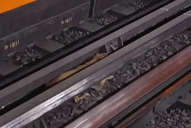 Tras su rescate, el perrito fue puesto a resguardo de personal de Protección Civil, quienes lo entregaron al Centro de Transferencia Canina (CTC) del Metro.