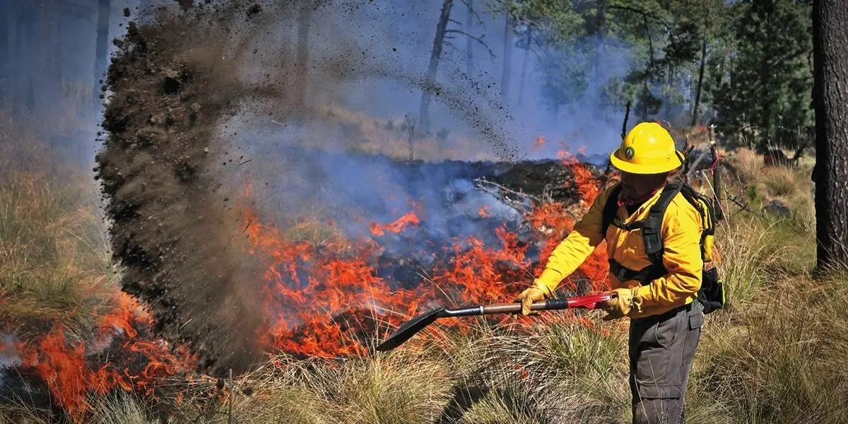 Un incendio forestal se registra desde hace seis días en el sur de Jalisco y en momentos ha amenazado zonas habitadas de los municipios de Tecalitlán y Jilotlán de los Dolores.