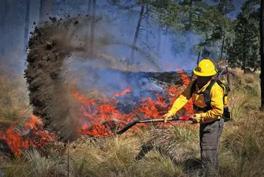 Un incendio forestal se registra desde hace seis días en el sur de Jalisco y en momentos ha amenazado zonas habitadas de los municipios de Tecalitlán y Jilotlán de los Dolores.