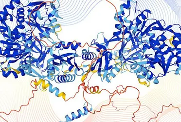 Un software impulsado por Inteligencia Artificial (IA) capaz de producir miles estructuras de proteínas y que tiene múltiples aplicaciones, como la lucha contra la más reciente variante del coronavirus, ómicron.
