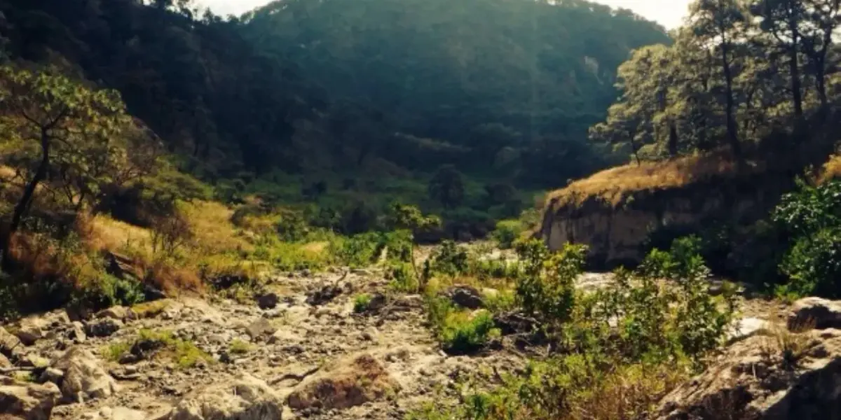Vecinos de la zona reportaron que regresaron las máquinas a sustraer arena de manera ilegal a una zona cercana al área protegida, aunque se clausuró el 6 de enero.