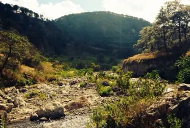 Vecinos de la zona reportaron que regresaron las máquinas a sustraer arena de manera ilegal a una zona cercana al área protegida, aunque se clausuró el 6 de enero.