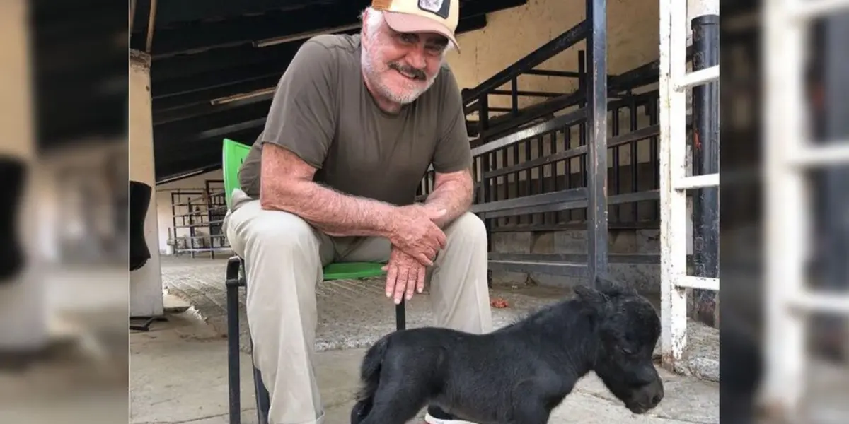 Vicente Fernández y su gran negocio de los caballos miniatura que era bastante fructífero