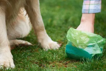 Ante el Pleno, el diputado presentó una iniciativa de reforma al artículo 29 de la Ley de Cultura Cívica de la Ciudad de México.