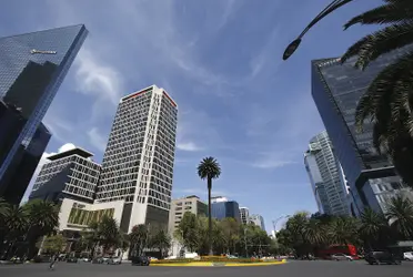 Aproximadamente un millón tiene algún tipo de plaga, según un reporte de la Sedema, lo que es equivalente al 30% del total.