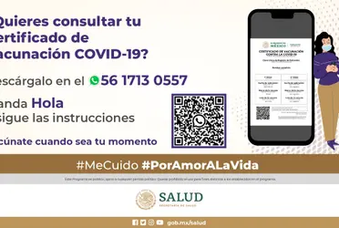Así puedes obtener el certificado actualizado con la tercera vacuna.
 