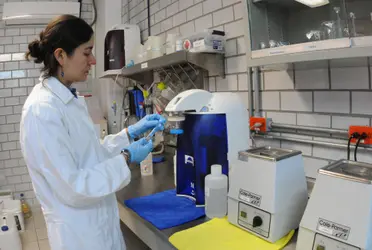 De acuerdo con un reporte de la UNESCO, menos del 30 por ciento de los investigadores científicos en el mundo son mujeres.