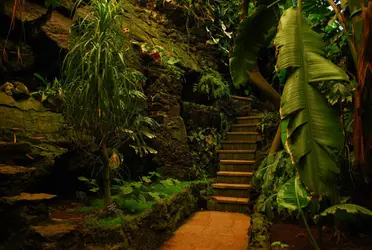 Declarados por la Organización de las Naciones Unidas para la Educación, la Ciencia y la Cultura (UNESCO): Xochimilco, Centro Histórico, Casa Estudio Luis Barragán y Ciudad Universitaria.