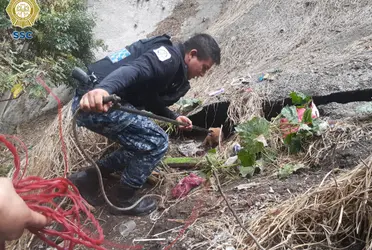 Efectivos de la Brigada de Vigilancia Animal (BVA), de la Secretaría de Seguridad Ciudadana (SSC) de la Ciudad de México, (CDMX) rescataron a un cachorrito en un barranco de la alcaldía Álvaro Obregón.