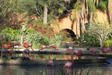 El clima en Guadalajara para este viernes 6 de mayo anticipa que estará con cielo despejado con 33 grados centígrados por la mañana y la temperatura máxima llegará a los 35 grados.