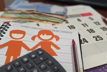 El Código Civil Federal, en su artículo 303, define que los padres están obligados a velar por el bienestar de sus hijos. El fin de una relación no los exime de esta responsabilidad.