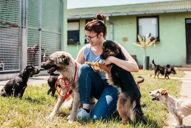 El juzgado 60 de lo Civil de la Ciudad de México emitió una orden de desalojo para abandonar el sitio lo antes posible, debido a que los terrenos se van a ocupar para la construcción de un desarrollo inmobiliario de alto nivel.