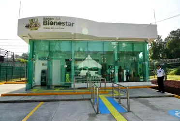 El programa de Pensión para el Bienestar se realiza a nivel nacional y está dirigido a personas de 65 años o más; sin embargo, para recibir tu dinero debes acudir al Banco del Bienestar.