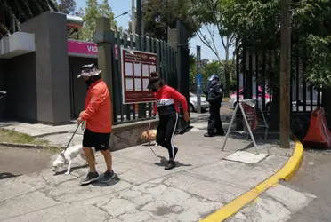 El próximo 12 de junio tendrá lugar el Primer Paseo Adopta CDMX, en el que podrás caminar acompañado de tu perrito o de un animal de compañía que busque hogar.
 