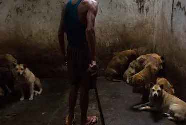 El registro estaría a cargo de la Agencia de Atención Animal (Agatan) y en él se podría consultar el nombre completo del agresor.