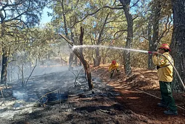 En esta ocasión el paraje afectado es el de la zona conocida como Milpillas dentro del municipio de Zapopan. 