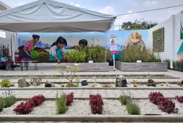 Este espacio tuvo una inversión por ocho millones de pesos y sus habitantes podrán acceder a educación, cultura, arte y recreación para niñas, niños, jóvenes, adultos y adultos mayores. 