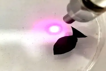 Esto último por los recientes descubrimientos que, por primera vez, han aparecido sobre los microplásticos en la nieve fresca de la Antártida.