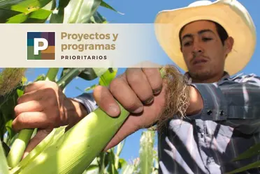 Gobierno de México presentará plan de autosuficiencia para enfrentar inflación, anuncia presidente