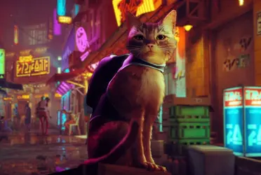 La novedad de este juego protagonizado por un gato callejero ha llegado a los “feeds” de quienes no son especialmente amantes de los videojuegos, pero sí de los gatos. 