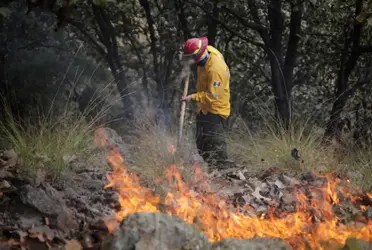 Por tanto las autoridades ya realizan labores de vigilancia y otras tareas previas, sin embargo es importante el apoyo de la población para evitar incendios o reportarlos de manera oportuna. 
 
