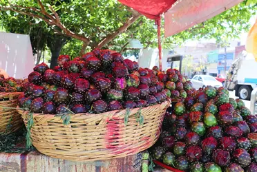 Regresa después de dos años de complicaciones por el tema de la pandemia y que incluso el ayuntamiento de Guadalajara las movió de sitio con el argumento de contar con espacios más grandes para evitar aglomeraciones