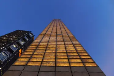  
Sobre  si el Ahuehuete de la Glorieta de la Palma convivirá con expresiones sociales como memoriales, dijo que este planteamiento es recogido desde la sociedad civil.