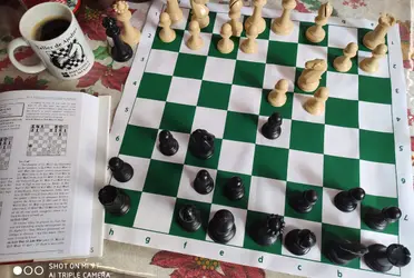 ulio, de 27 años, formará parte del equipo de México que representará a nuestro país en el evento de ajedrez más grande e importante del mundo.